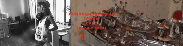 СК Нефтекумск