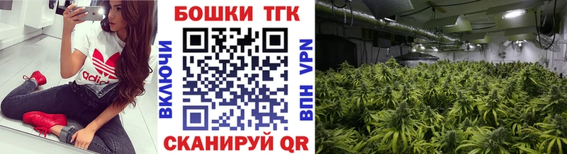 Бошки Шишки планчик  магазин продажи наркотиков  Аткарск 
